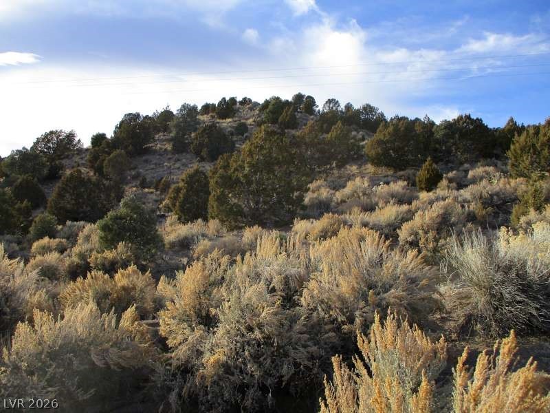 322 (9.86 Ac) Pioche, NV 89043 - Photo 3 of 9 View of undeveloped land