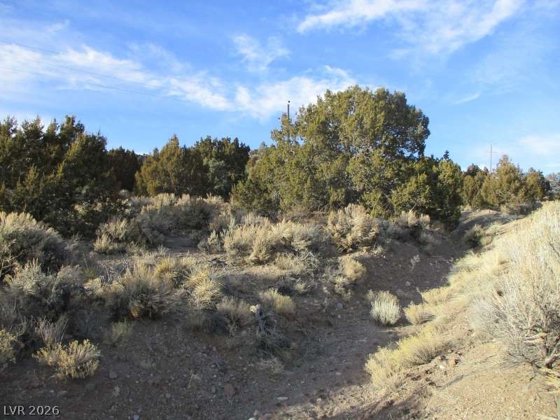 322 (9.86 Ac) Pioche, NV 89043 - Photo 4 of 9 View of undeveloped land