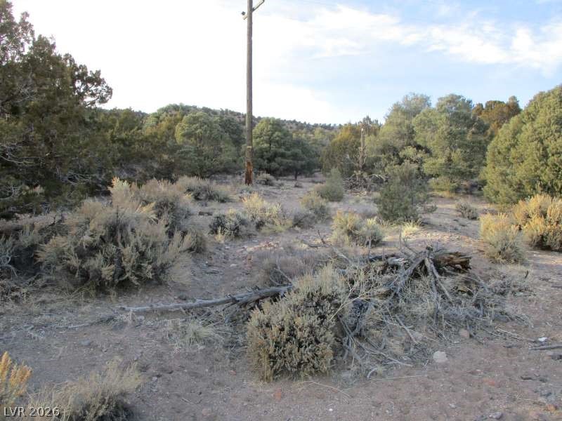 322 (9.86 Ac) Pioche, NV 89043 - Photo 5 of 9 View of undeveloped land