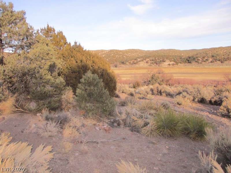 322 (9.86 Ac) Pioche, NV 89043 - Photo 6 of 9 View of undeveloped land featuring mountains