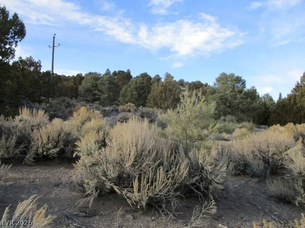 $246,500 | 322 (9.86 Ac), Pioche, NV 89043