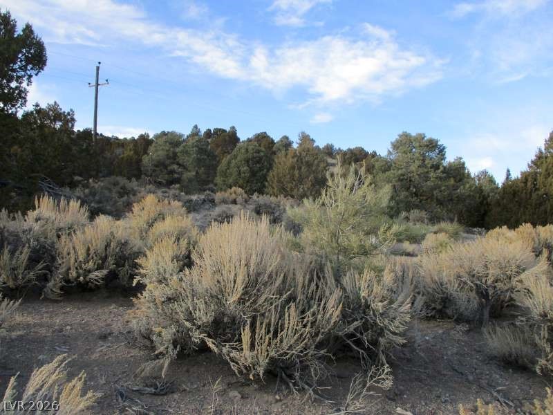 322 (9.86 Ac) Pioche, NV 89043 - Photo 7 of 9 View of local wilderness