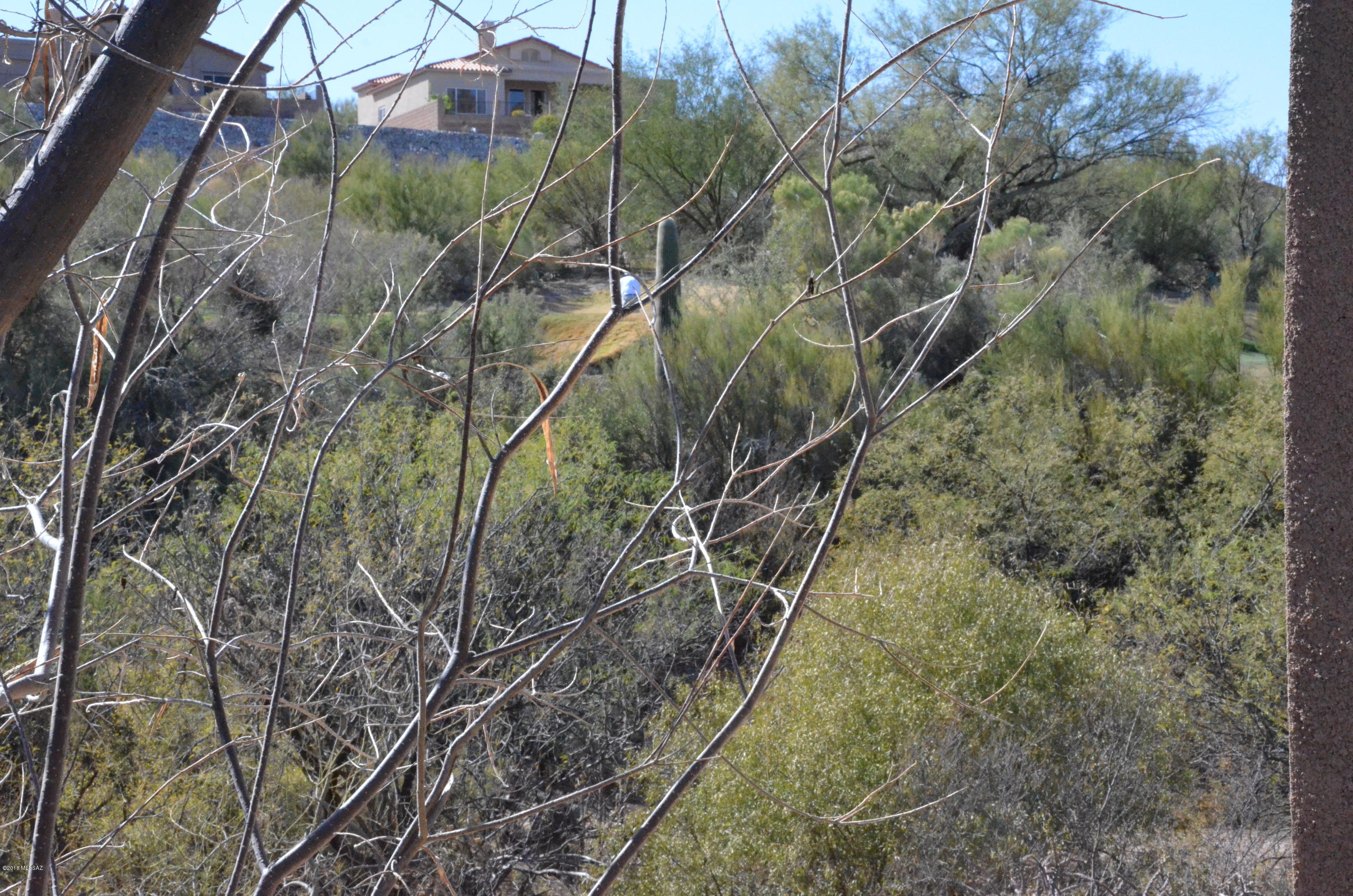 5855 North Kolb Road, Unit 13209 Tucson, AZ 85750 - Photo 14 of 42 Gallery Image 14