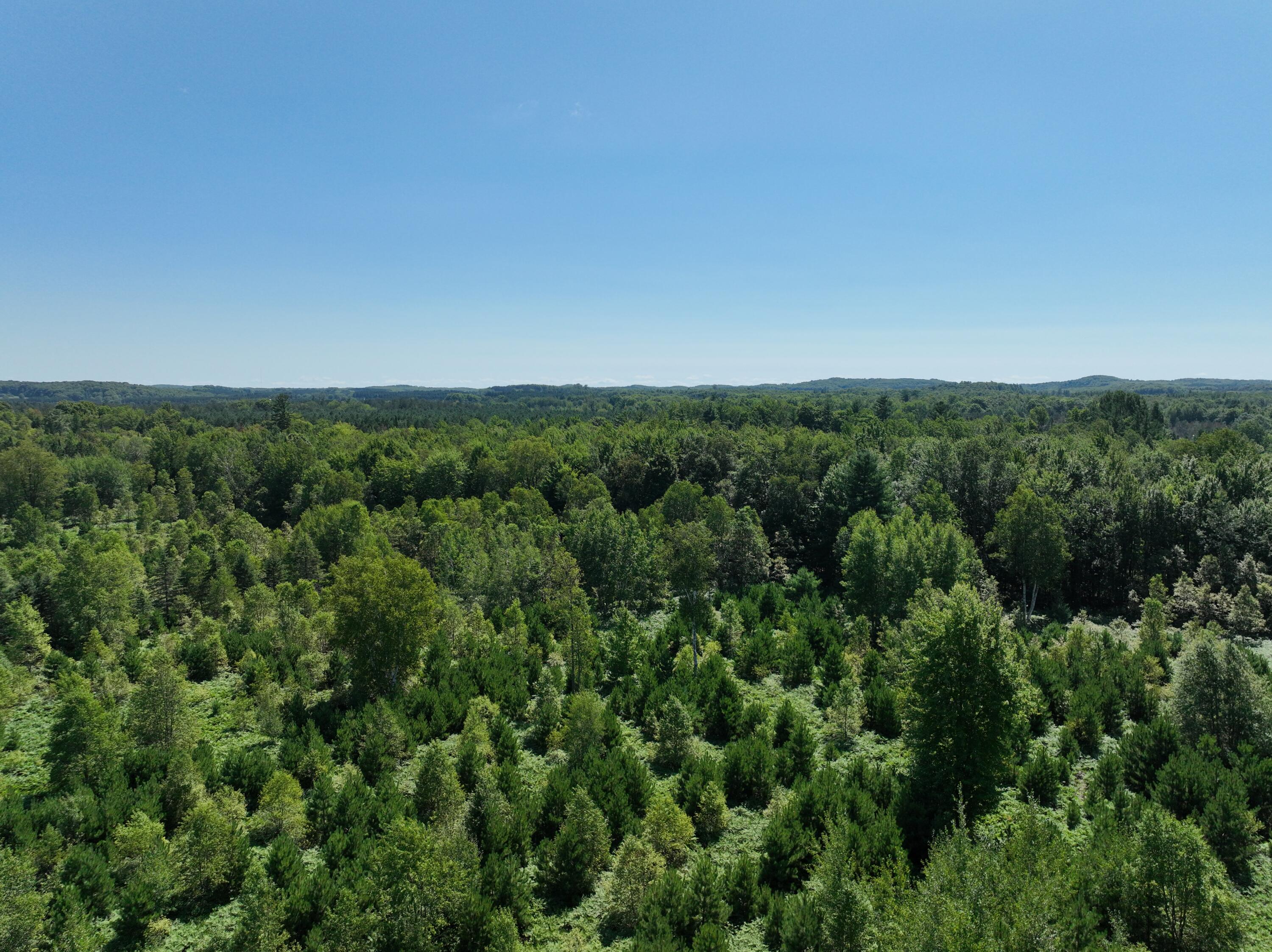 3302 North 39 Road Manton, MI 49663 - Photo 11 of 16 DJI_0447