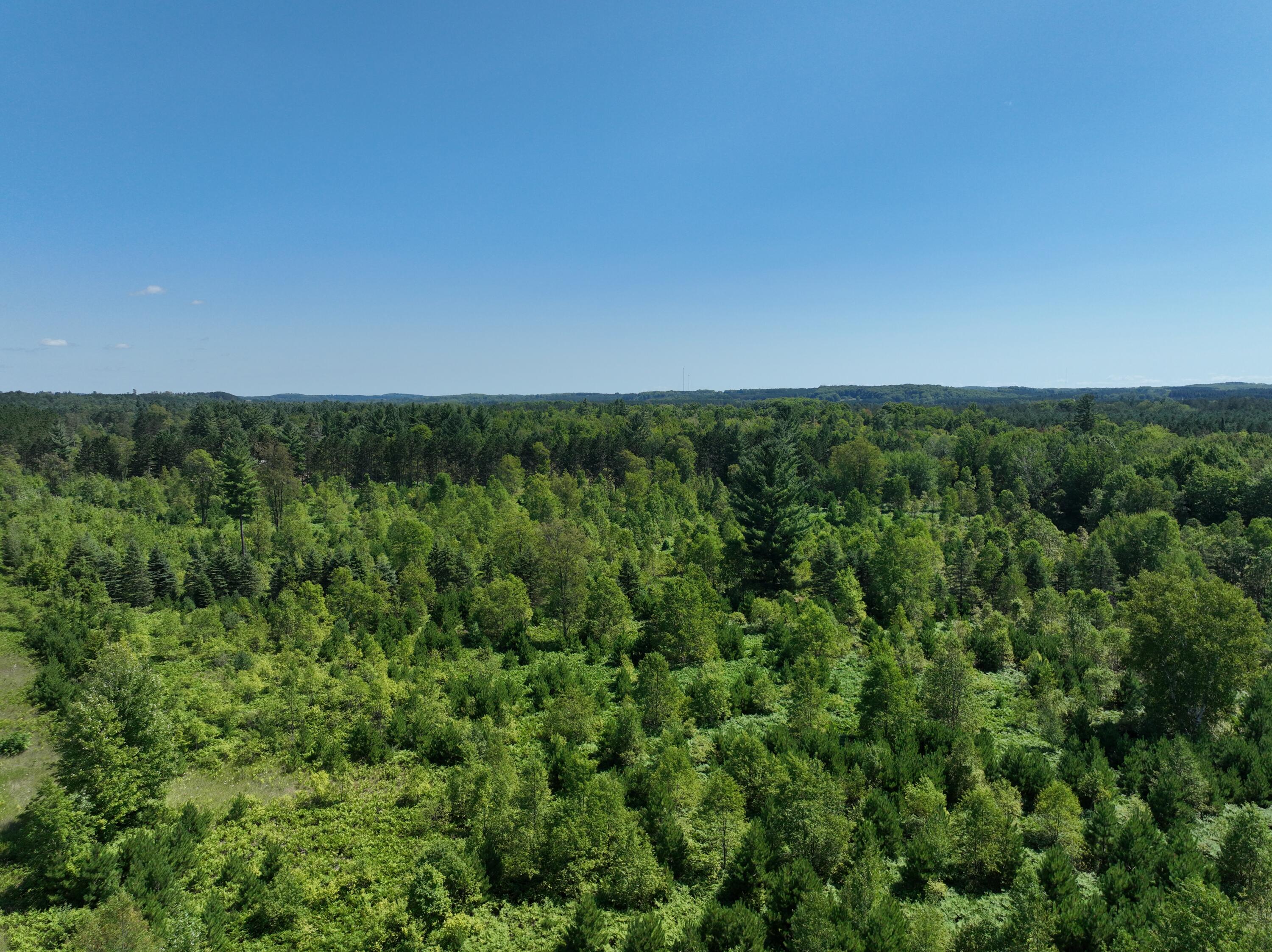 3302 North 39 Road Manton, MI 49663 - Photo 12 of 16 DJI_0448