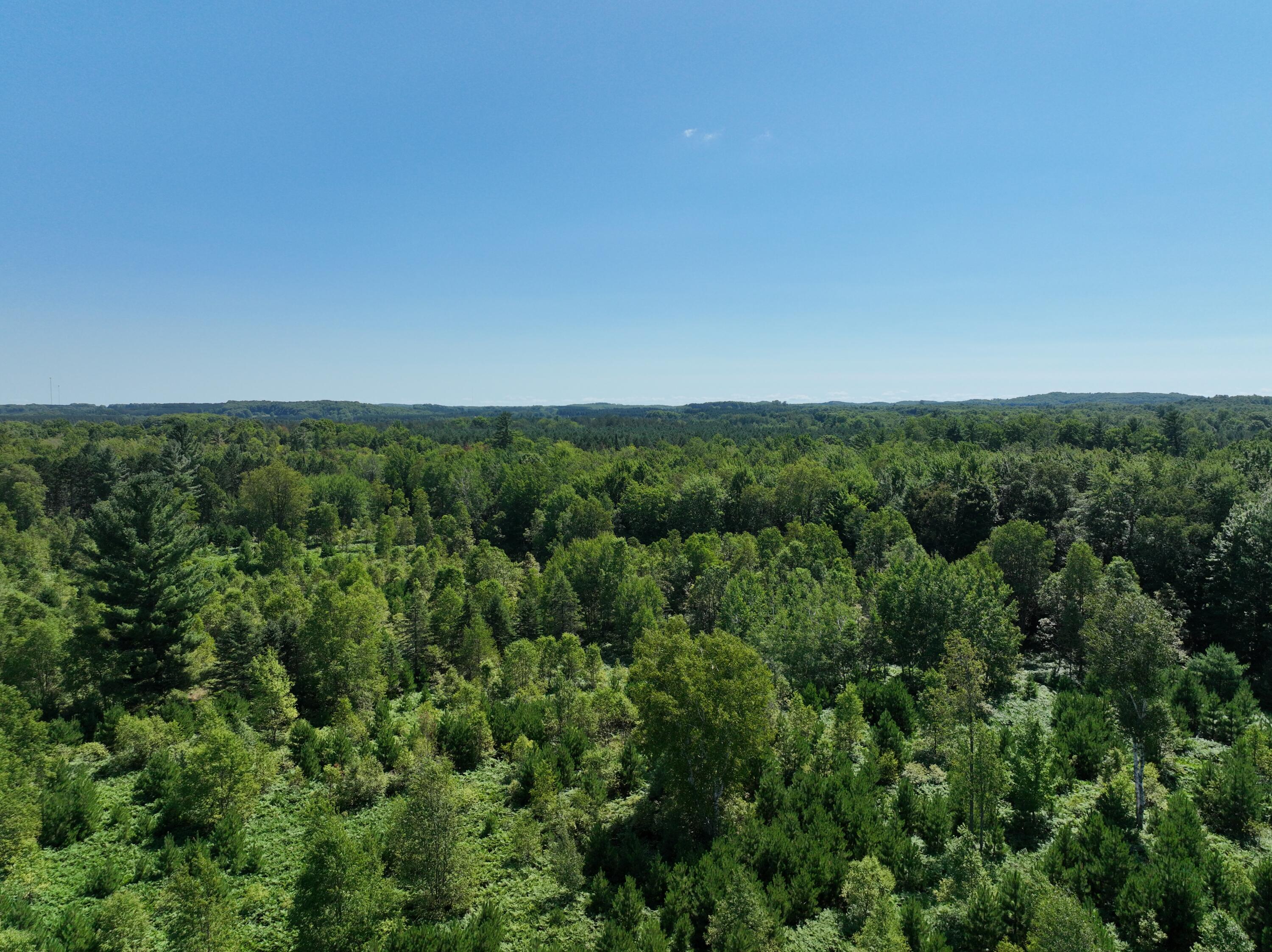3302 North 39 Road Manton, MI 49663 - Photo 15 of 16 DJI_0450