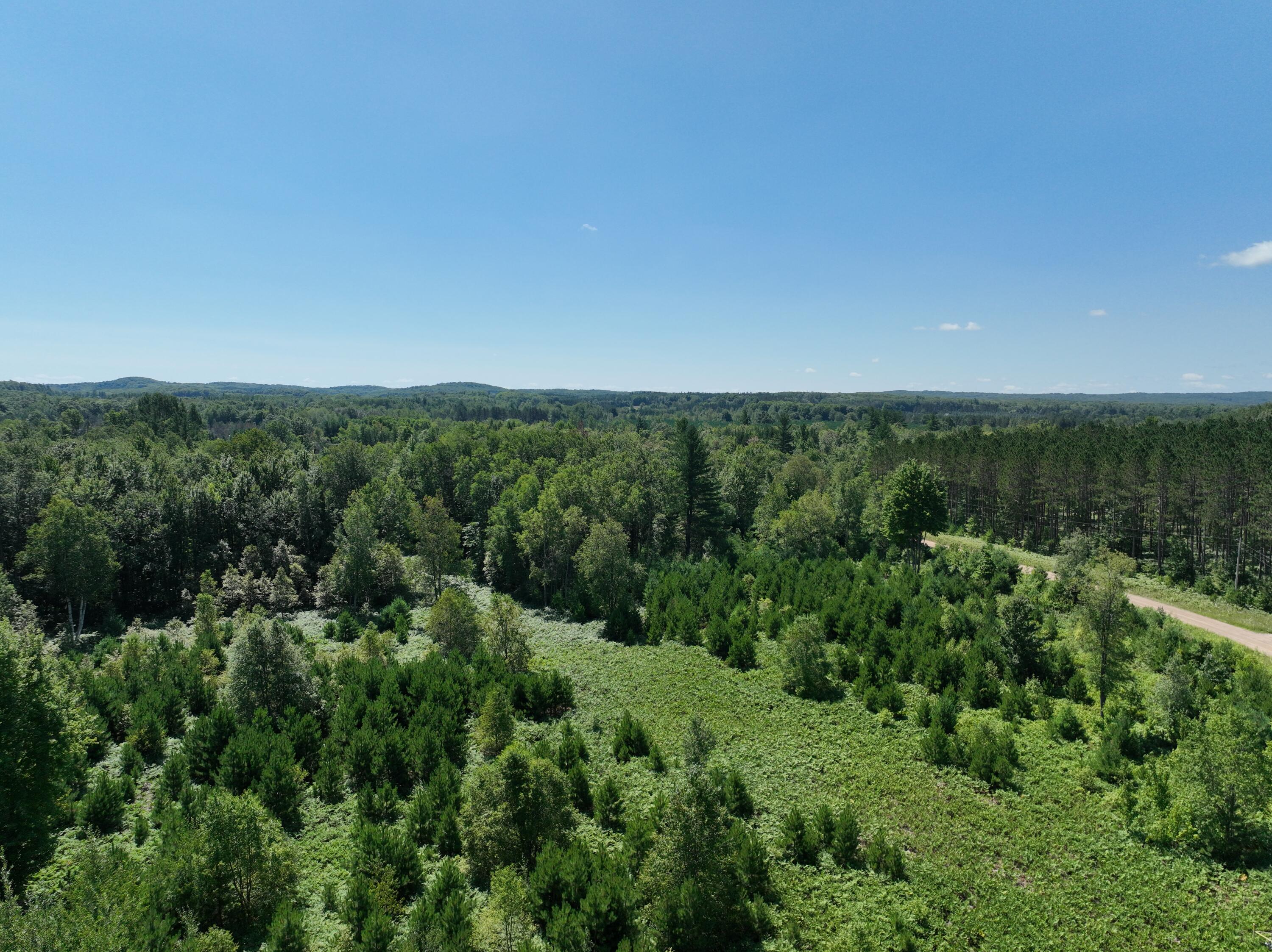 3302 North 39 Road Manton, MI 49663 - Photo 10 of 16 DJI_0446