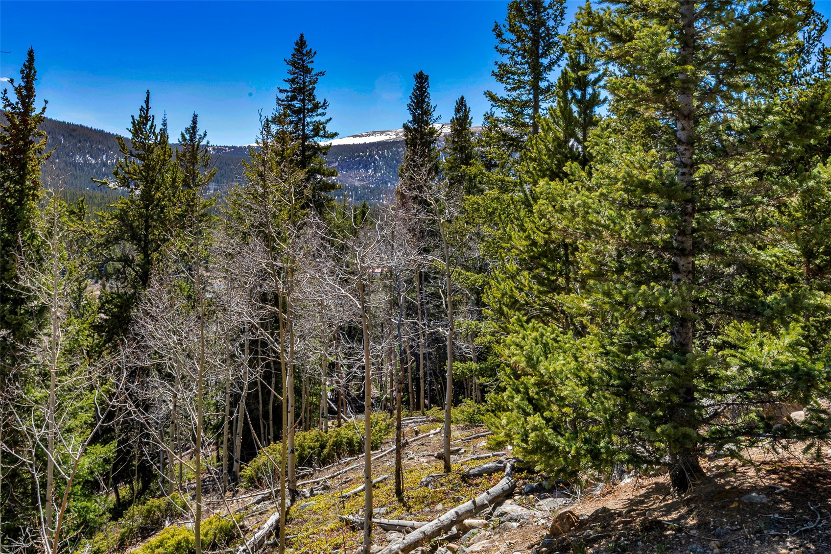 270 Co Road Alma, CO 80420 - Photo 38 of 47 Gallery Image 38