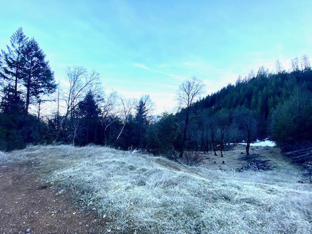 960 Democrat Gulch Road Weaverville, CA 96093 - Photo 6 of 8 Democrat (6)