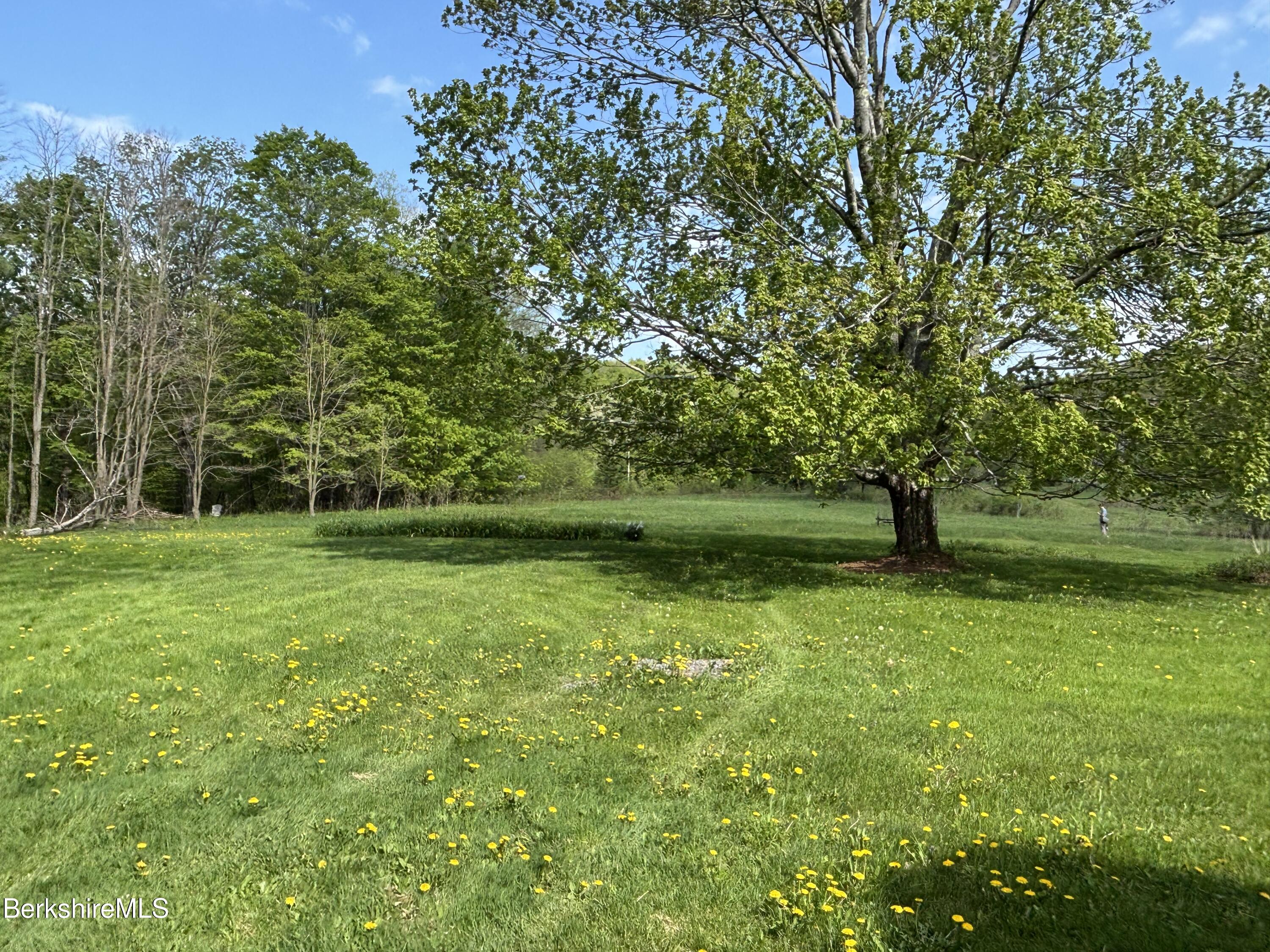 86 Miner Road Lanesborough, MA 01237 - Photo 12 of 44 a view of a green field