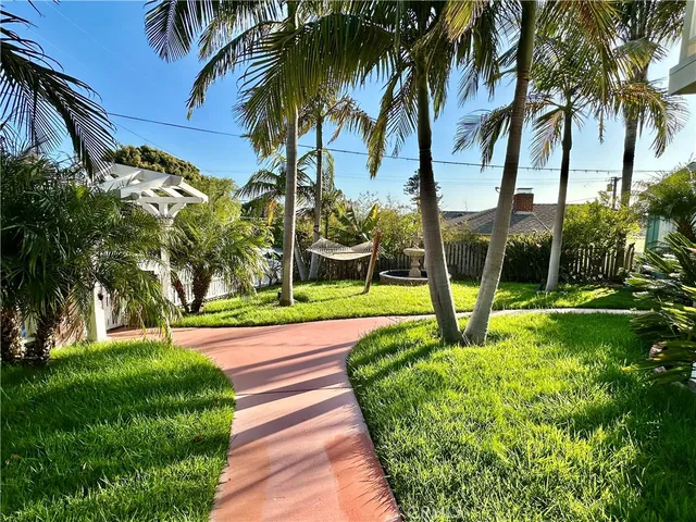 a view of a yard with a palm trees