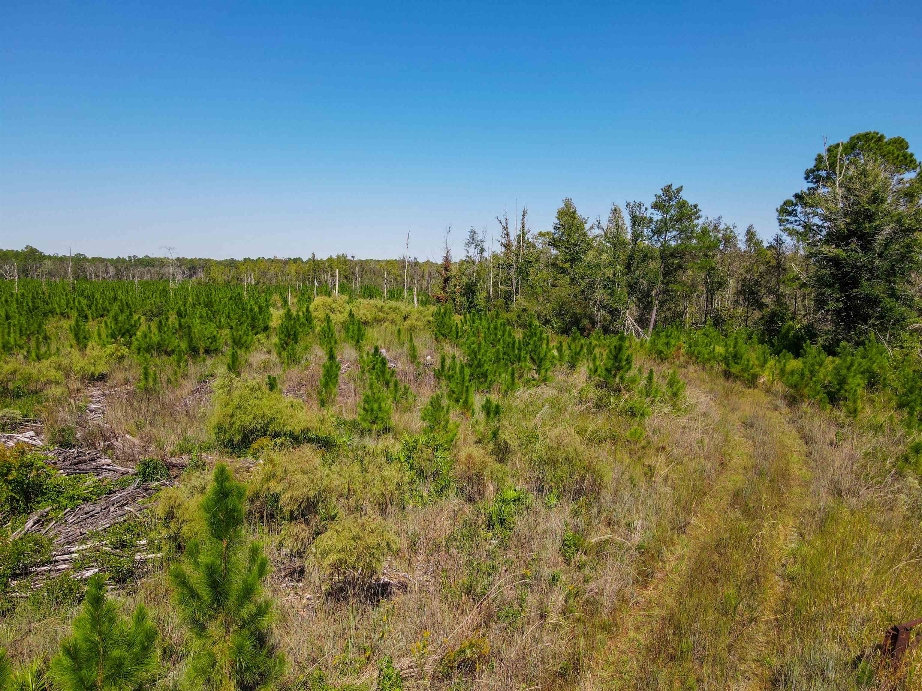 0 Southwest Mount Gilead Road Greenville, FL 32331 - Photo 3 of 33