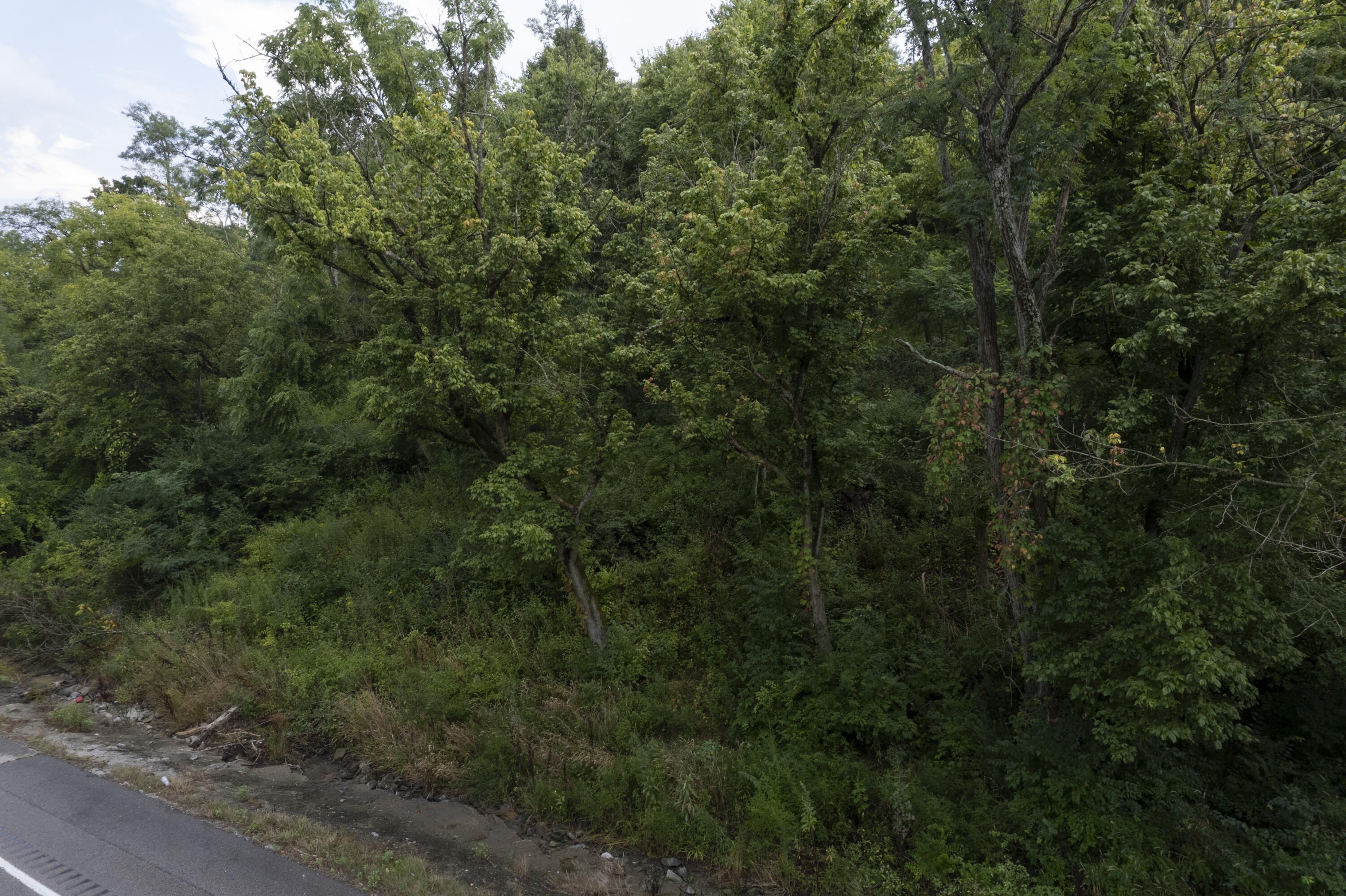 1419 Industrial Road Newport, KY 41076 - Photo 4 of 19