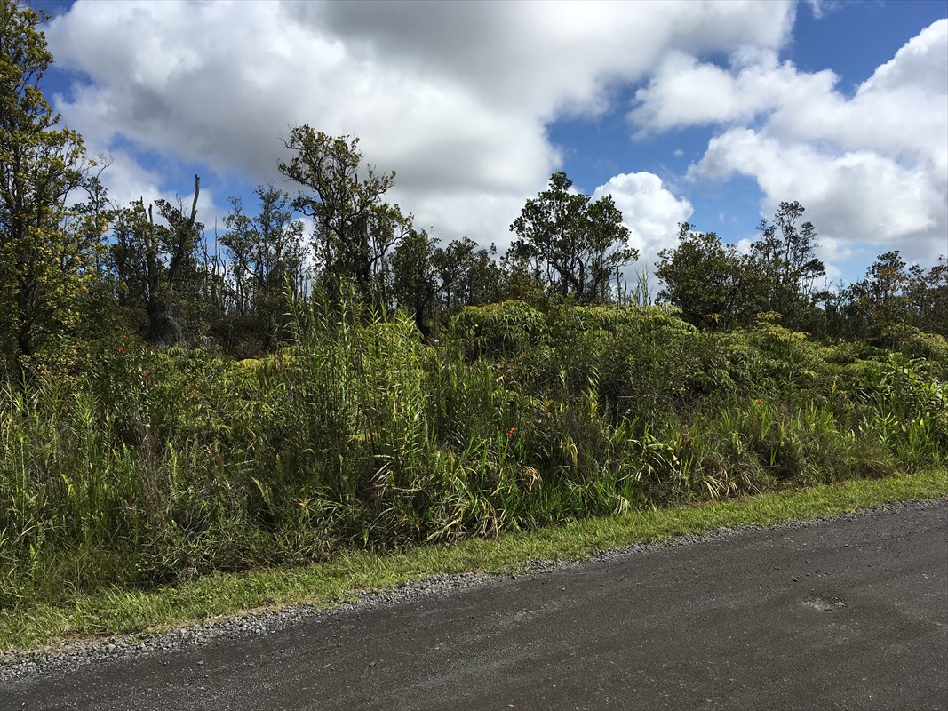 11-2450 Kaleponi Road Mountain View, HI 96771 - Photo 13 of 16