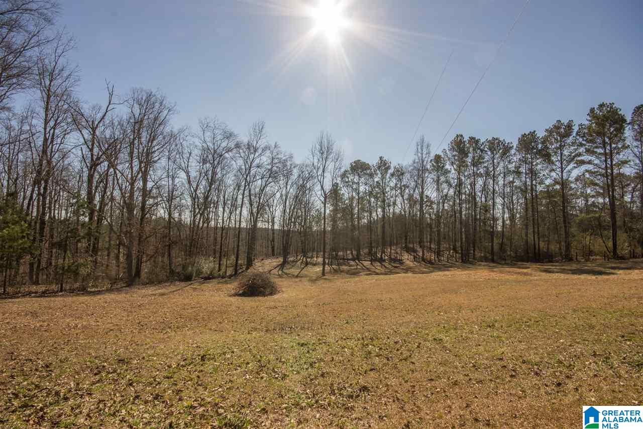 1070 Highway 54 Montevallo, AL 35115 - Photo 29 of 32