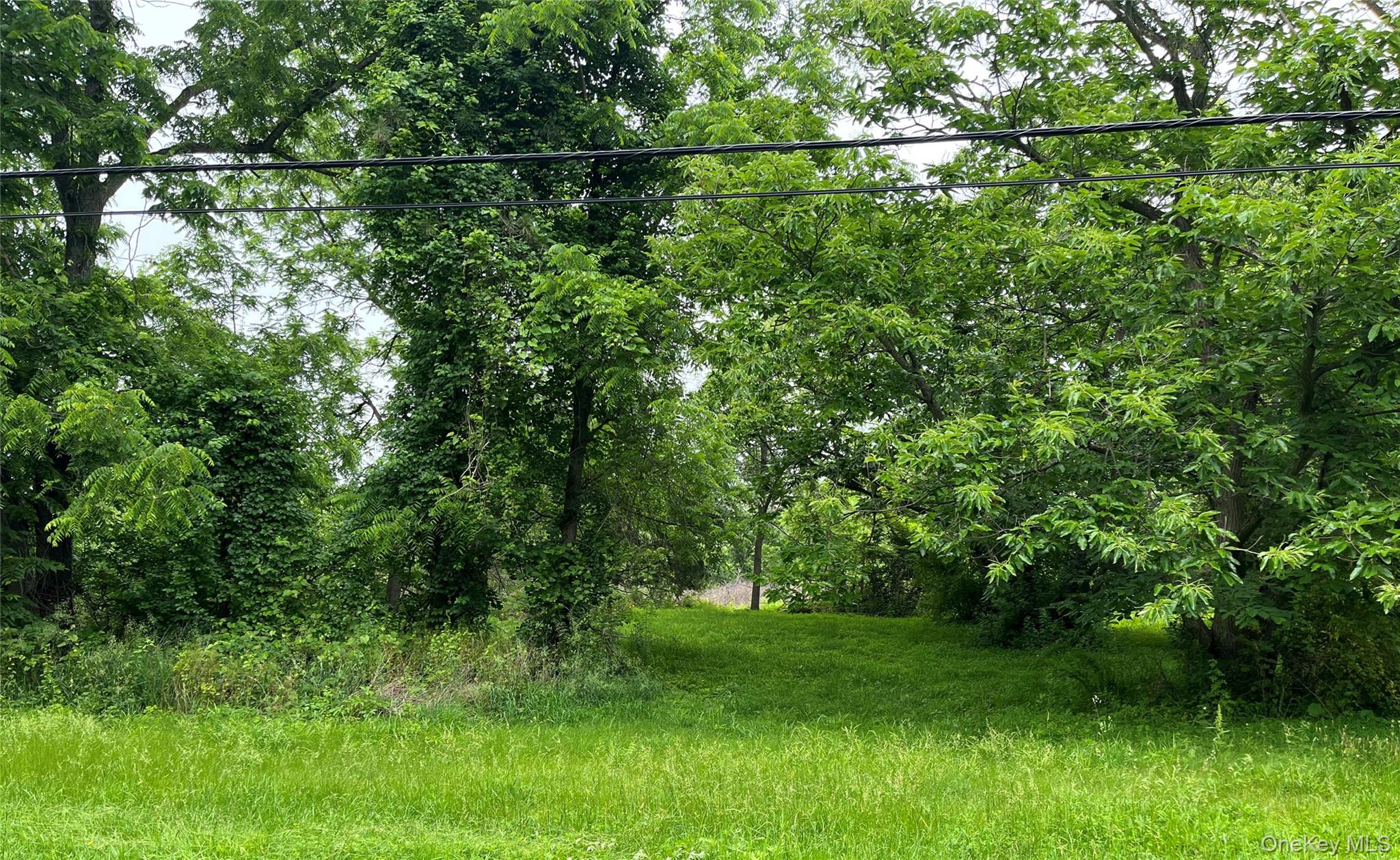 Fingar Road Greenport, NY 11944 - Photo 1 of 1 View of undeveloped land