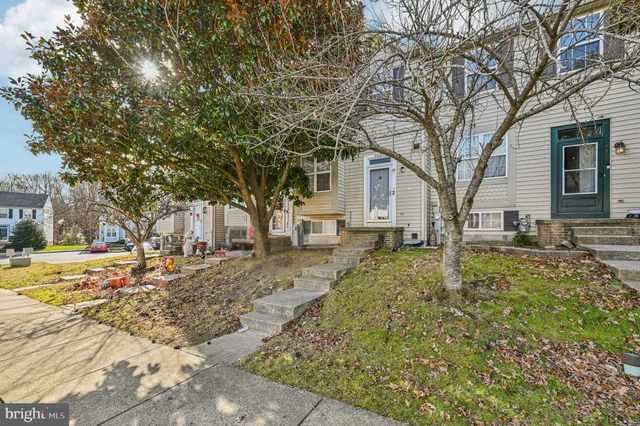 a view of a yard with a tree
