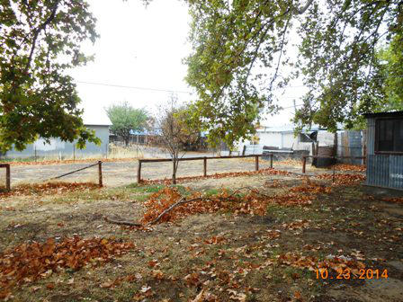 911 Walnut Street Corning, CA 96021 - Photo 29 of 35 DSCN5627