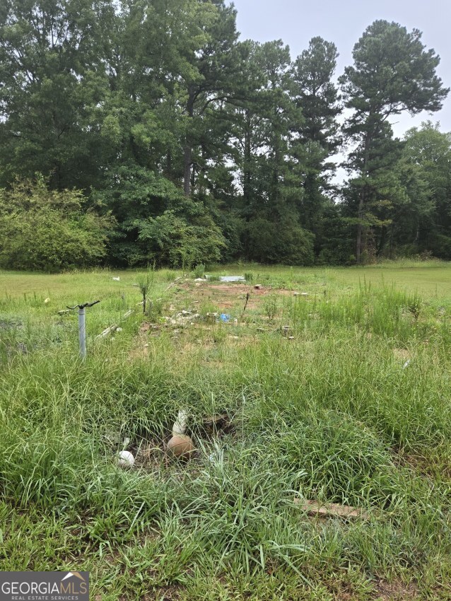 100 Hunters Ridge Drive Monticello, GA 31064 - Photo 2 of 10