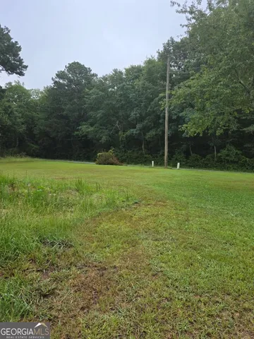 a view of a field with a tree in the background