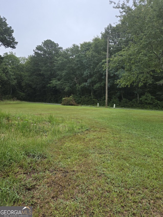 100 Hunters Ridge Drive Monticello, GA 31064 - Photo 4 of 10