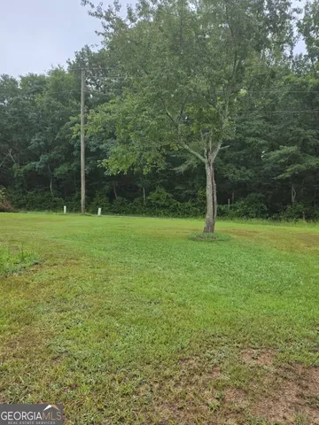a view of a field with a tree