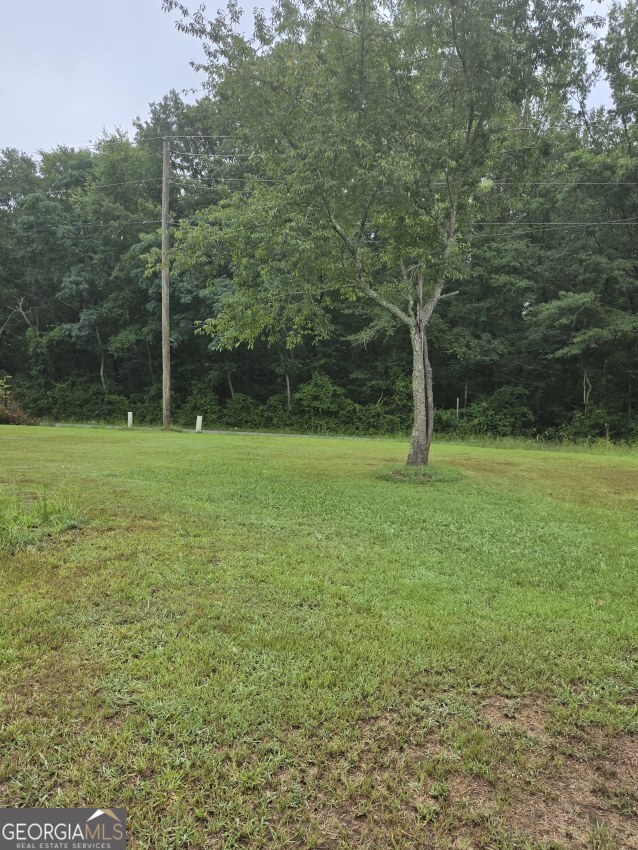 100 Hunters Ridge Drive Monticello, GA 31064 - Photo 5 of 10