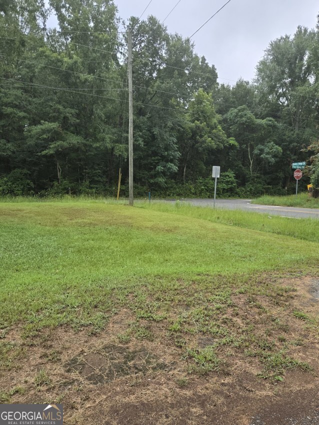 100 Hunters Ridge Drive Monticello, GA 31064 - Photo 6 of 10