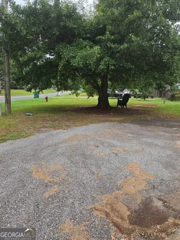 a view of a park with large trees