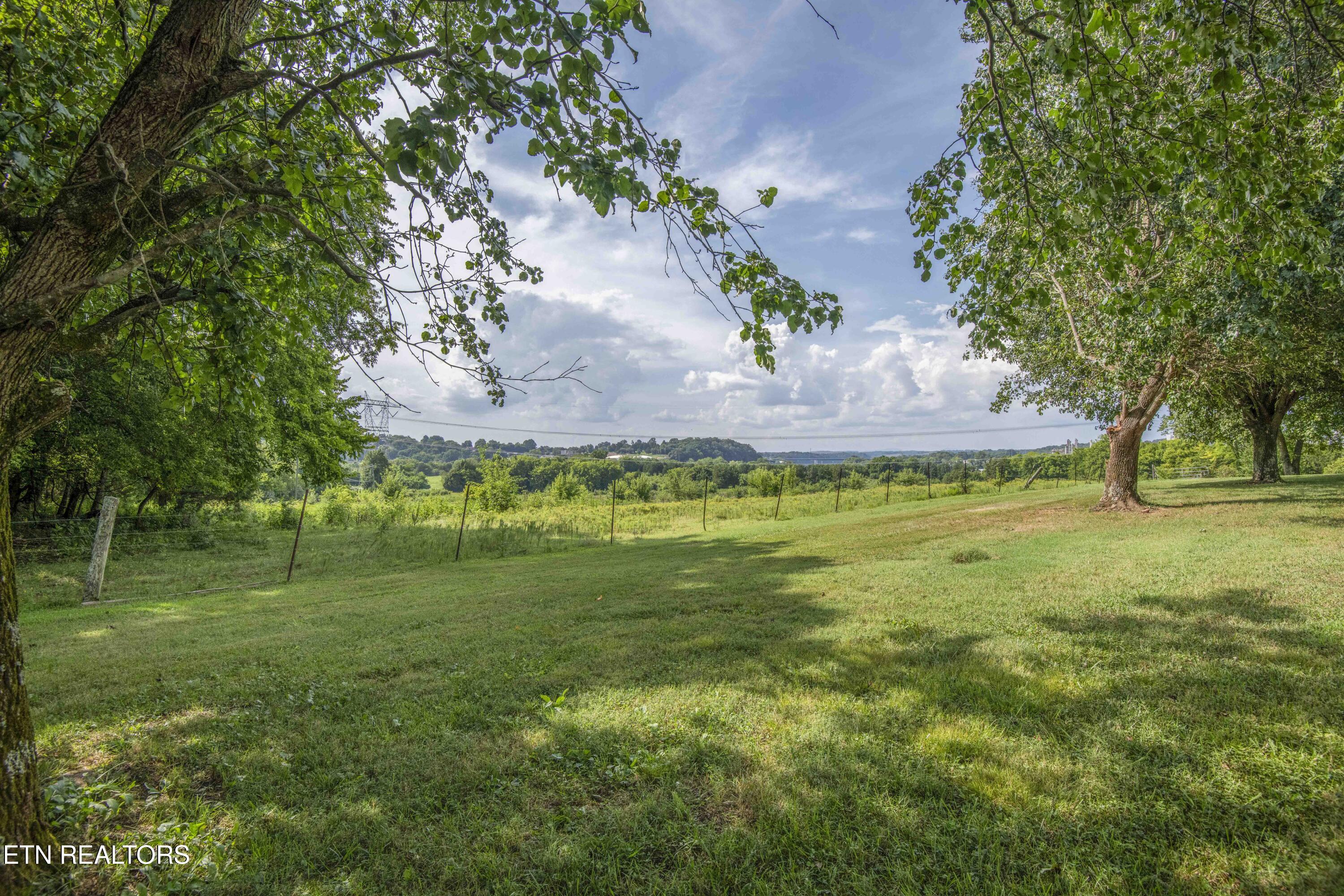 401 Vonore Road Loudon, TN 37774 - Photo 38 of 47 yard 11_1
