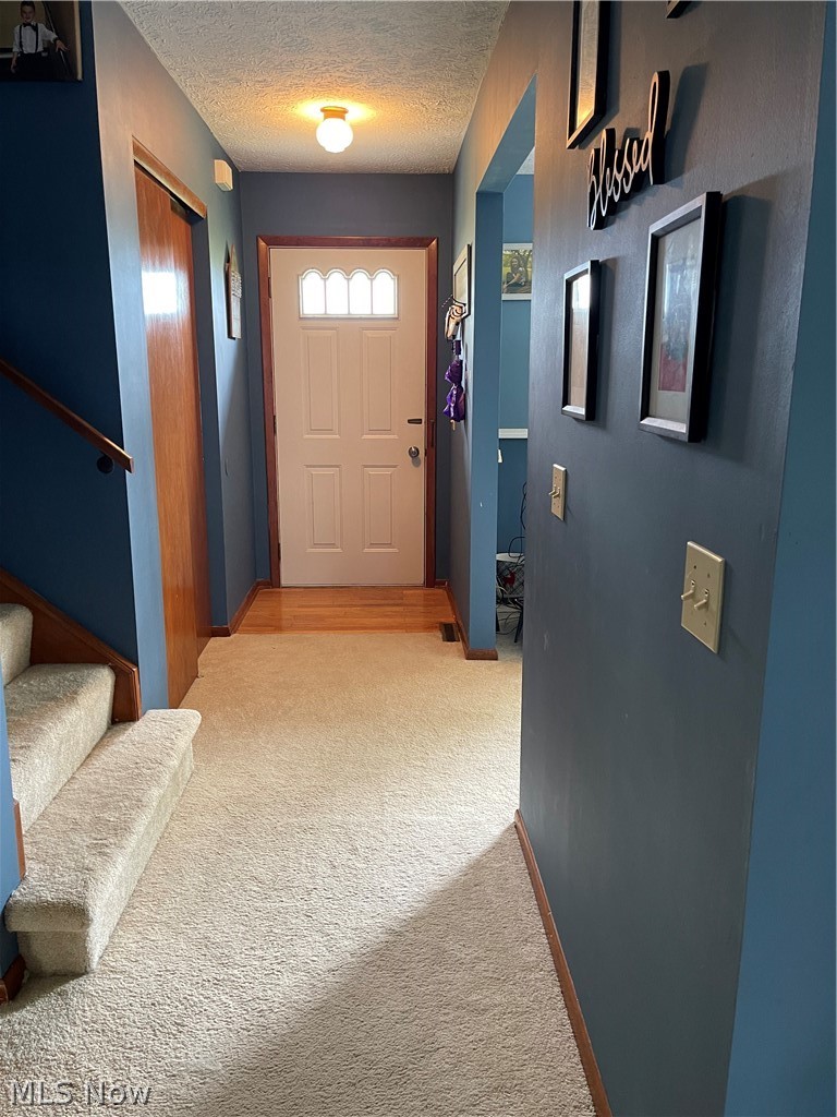 42895 Telegraph Road Elyria, OH 44035 - Photo 6 of 35 Foyer