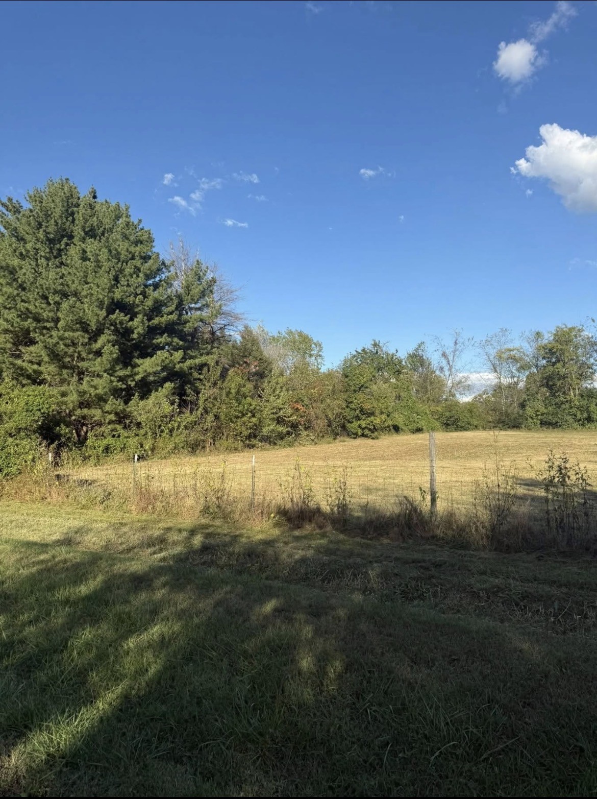 454 Boiling Springs Road Portland, TN 37148 - Photo 2 of 6 a view of lake with trees