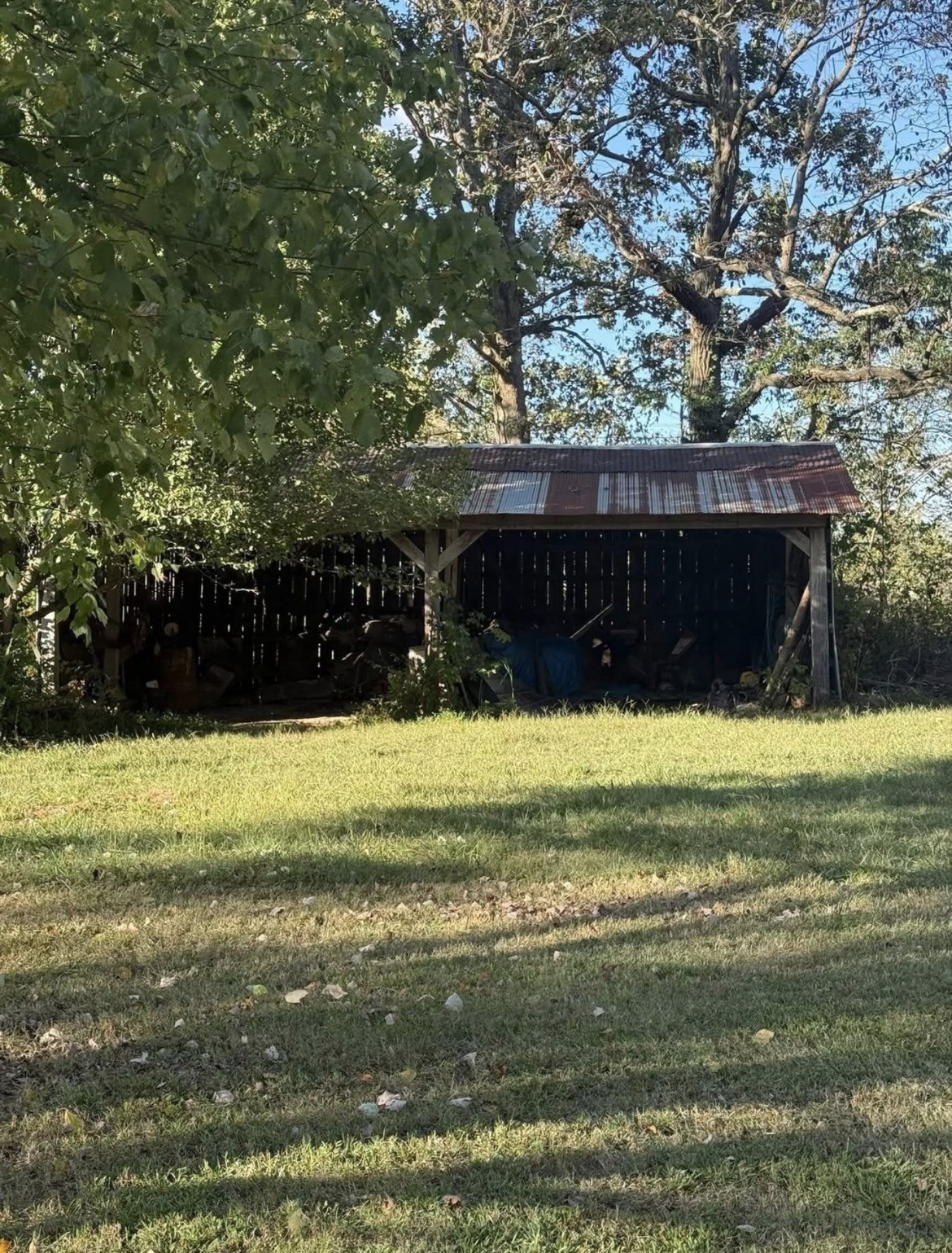 454 Boiling Springs Road Portland, TN 37148 - Photo 5 of 6 a view of a back yard