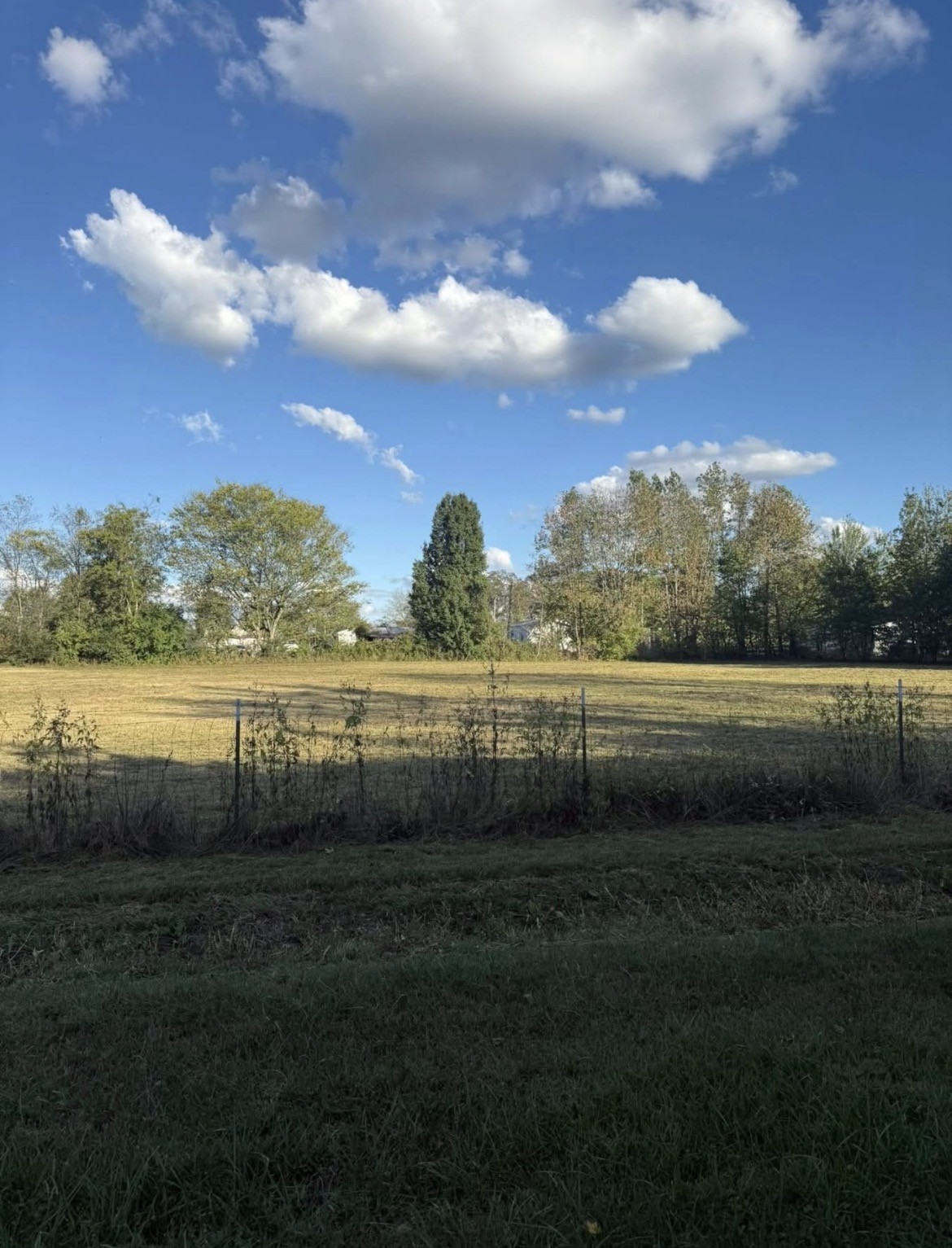 454 Boiling Springs Road Portland, TN 37148 - Photo 6 of 6 a view of a lake with a yard