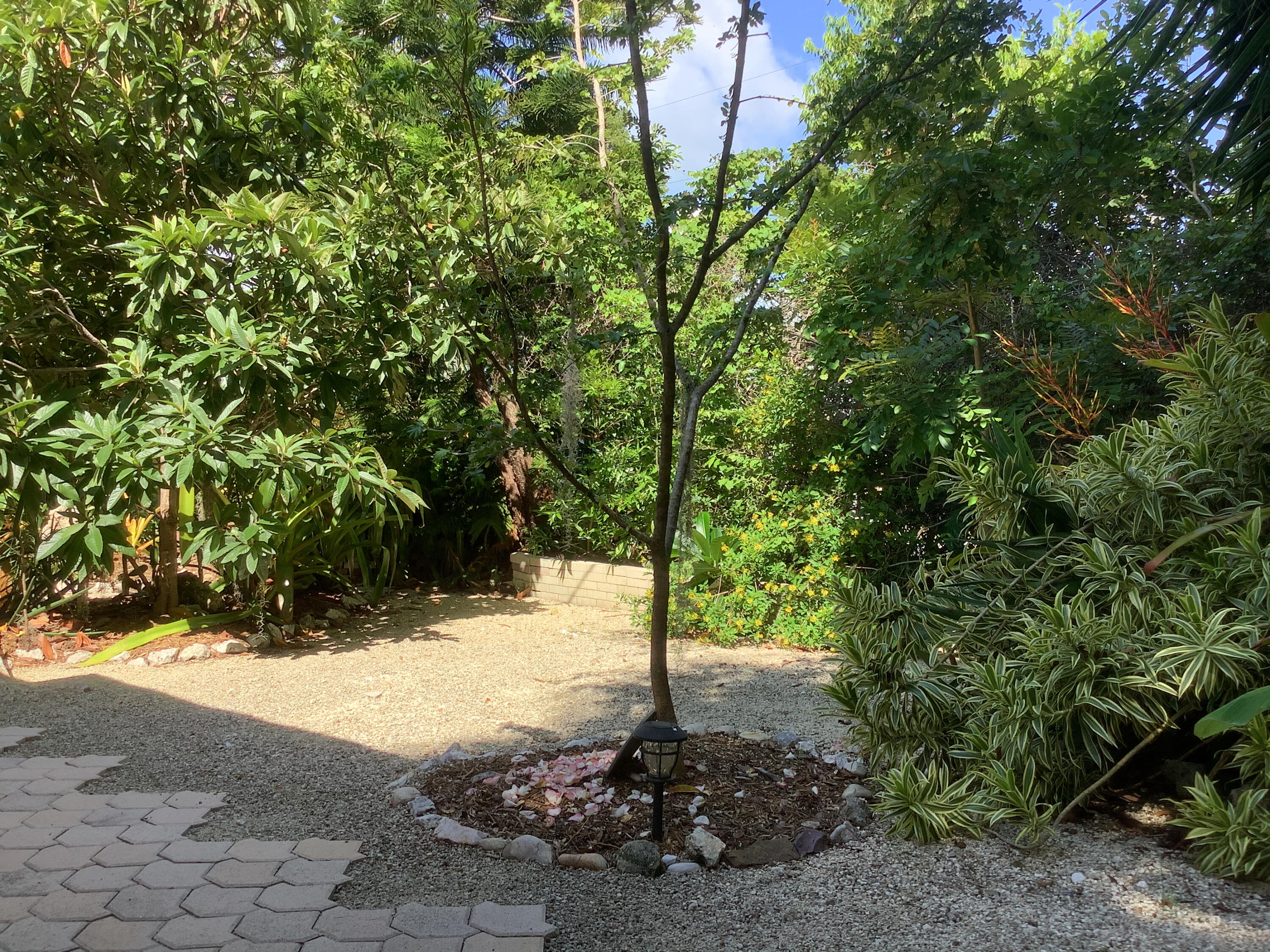 809 Largo Road Key Largo, FL 33037 - Photo 21 of 29 Front yard view