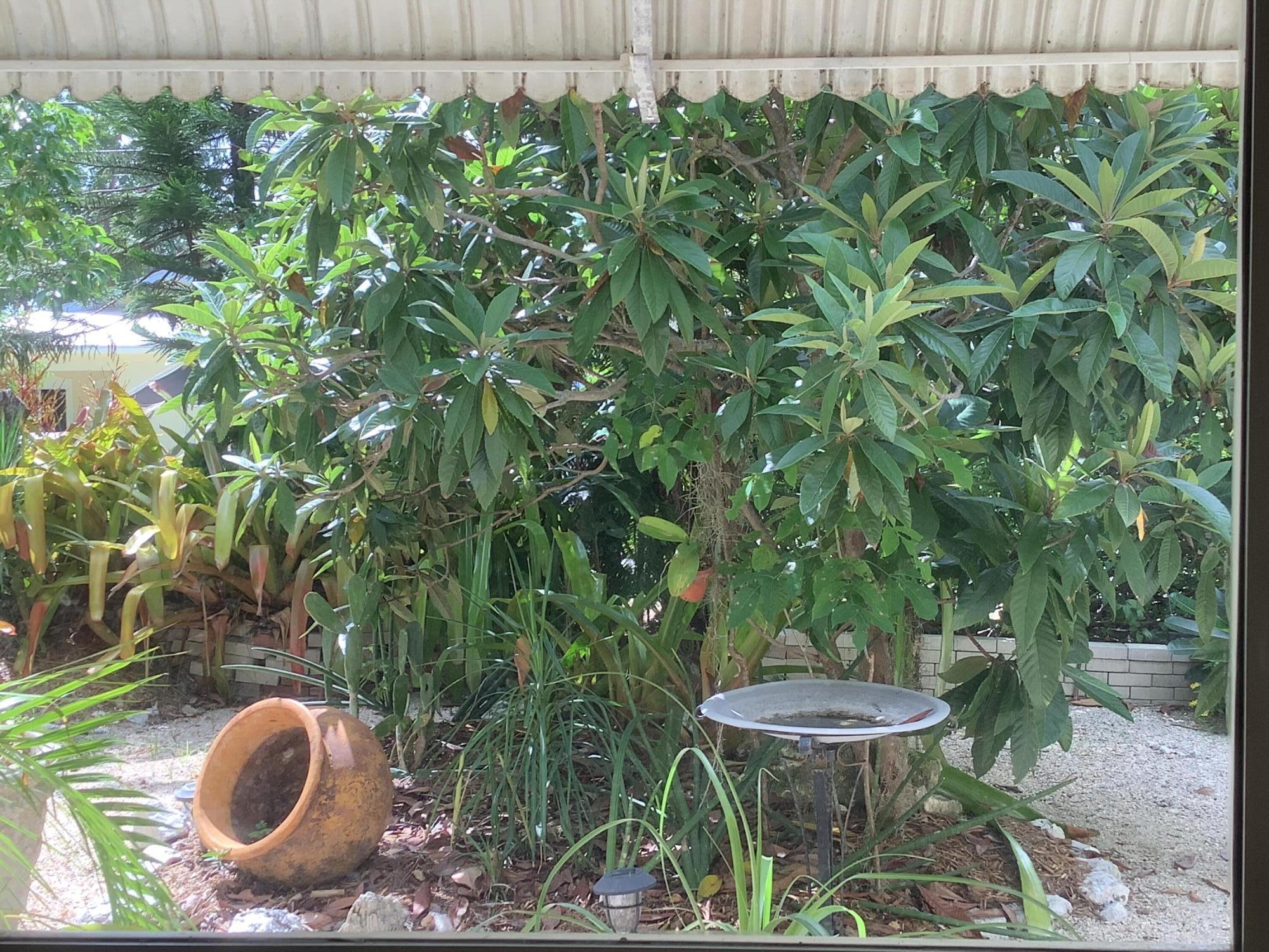 809 Largo Road Key Largo, FL 33037 - Photo 8 of 29 View from kitchen table