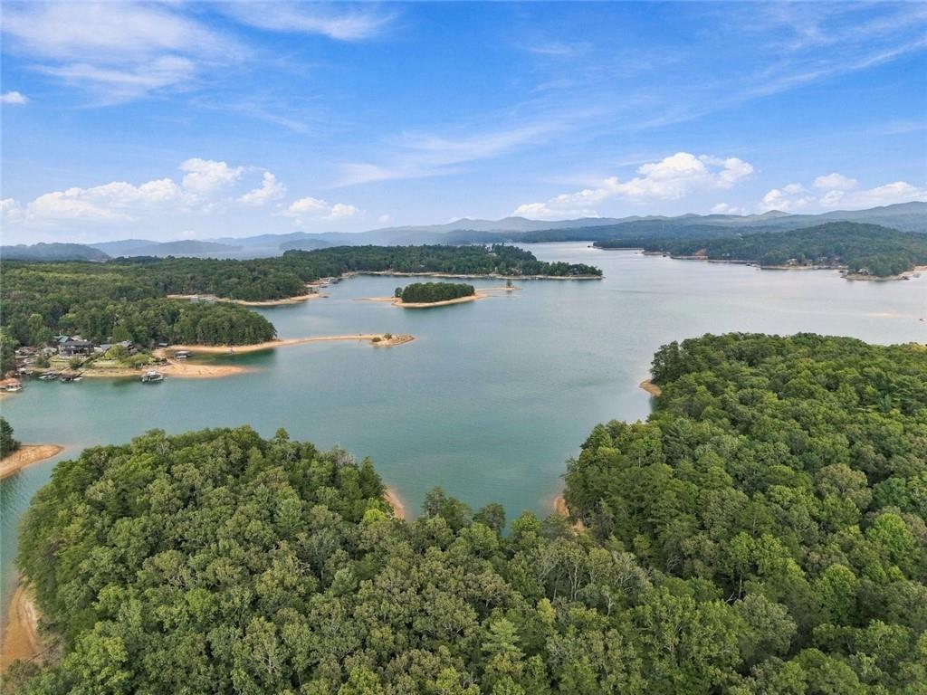 2124 Maxwell Road Blue Ridge, GA 30513 - Photo 47 of 49 Gallery Image 47