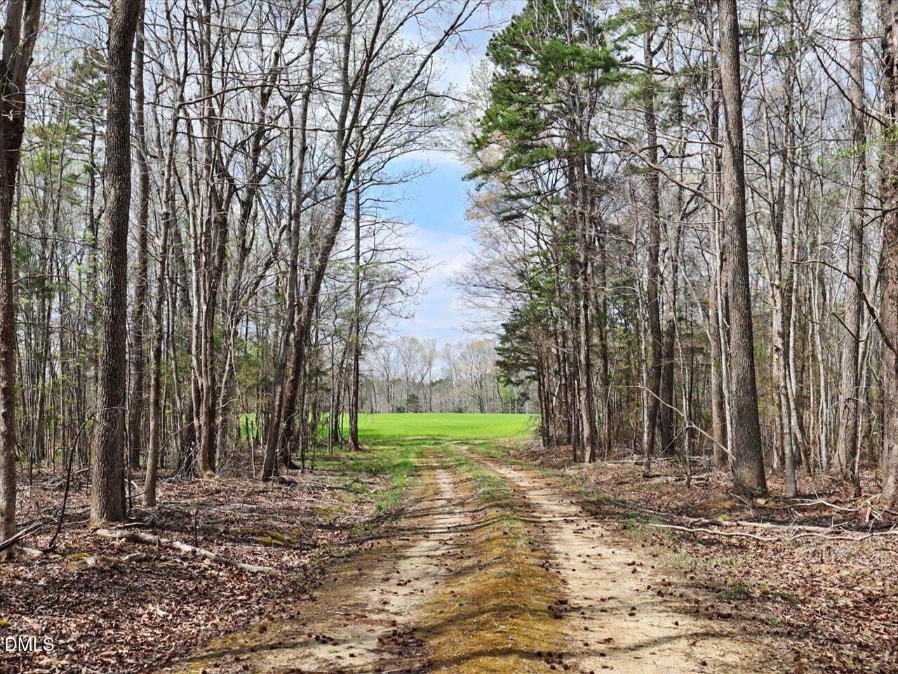 7793 Ridgeville Road Leasburg, NC 27291 - Photo 30 of 91