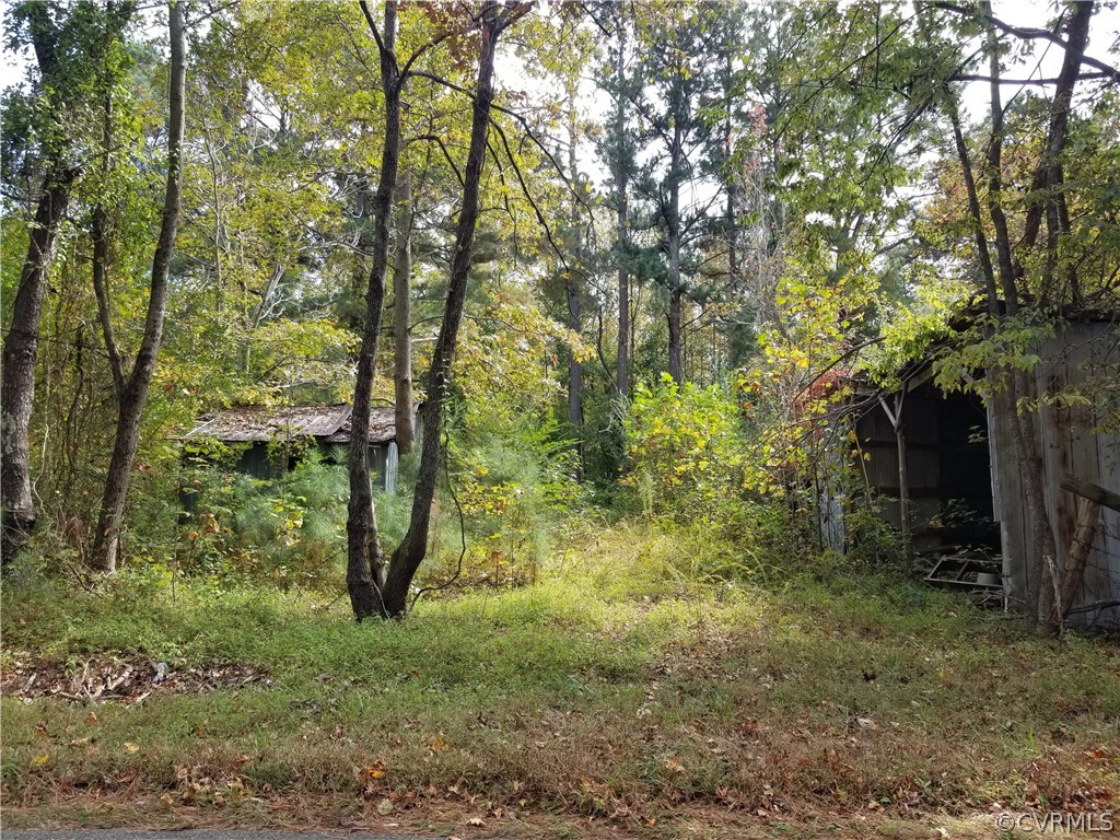 321 Cary Shop Road Burkeville, VA 23922 - Photo 47 of 48 Gallery Image 47