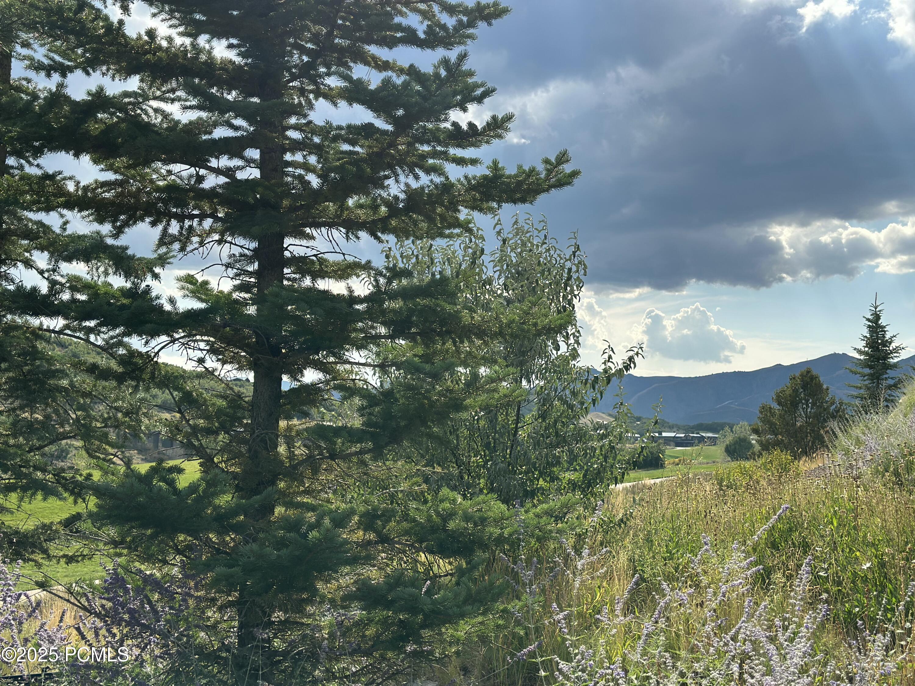 2990 Primrose Trail Kamas, UT 84036 - Photo 14 of 114
