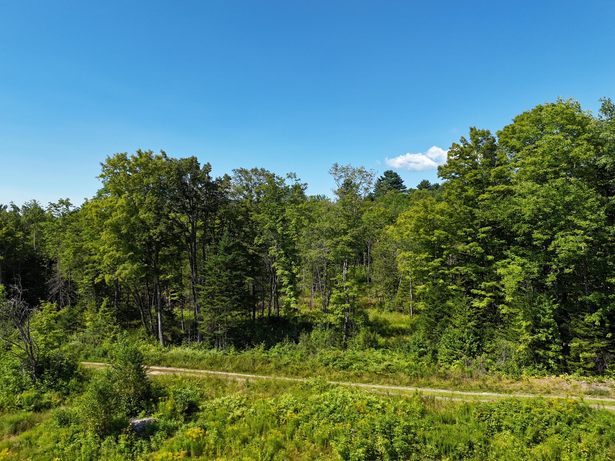 286 Lexington Road Kingfield, ME 04947 - Photo 57 of 58