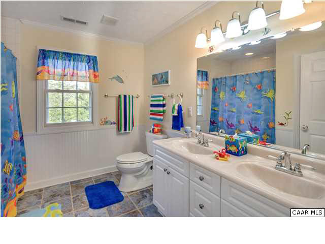 686 Valley View Road Ruckersville, VA 22968 - Photo 19 of 33 a bathroom with a sink vanity mirror and toilet