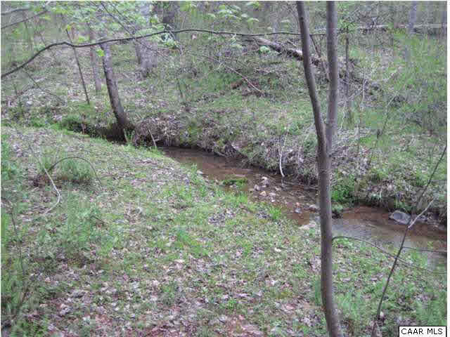 686 Valley View Road Ruckersville, VA 22968 - Photo 31 of 33 a view of a forest that has large trees