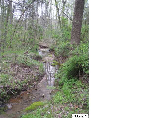 686 Valley View Road Ruckersville, VA 22968 - Photo 32 of 33 a view of a forest with a tree
