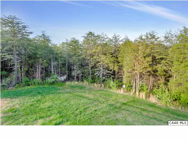 686 Valley View Road Ruckersville, VA 22968 - Photo 4 of 33 a open area with trees in the background