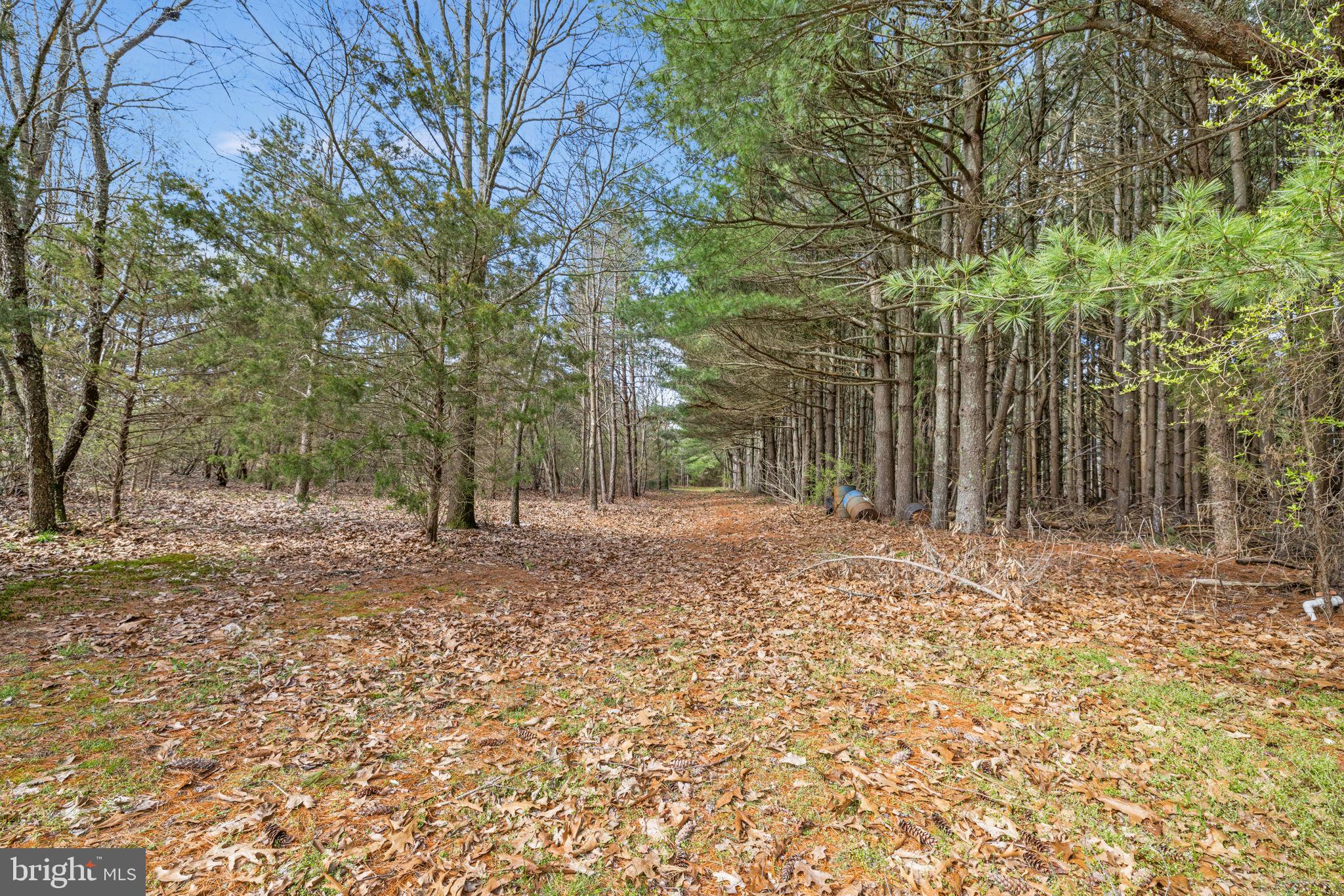 1443 Back Line Road Hammonton, NJ 08037 - Photo 36 of 62 Gallery Image 36