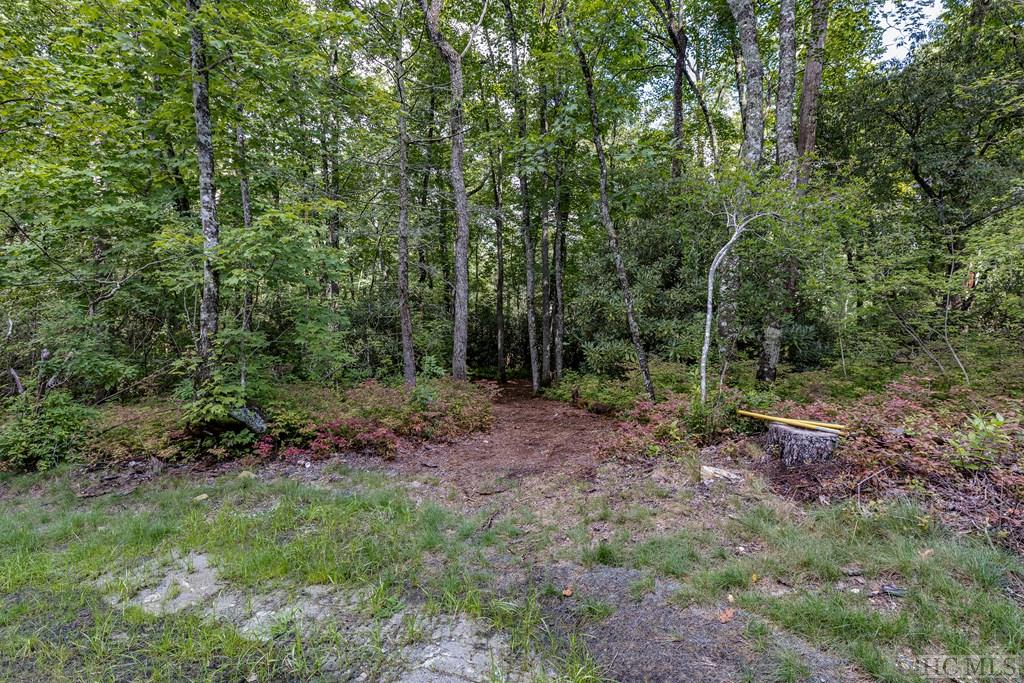 Lot 73 Flagstone Road Sapphire, NC 28774 - Photo 2 of 4 Gallery Image 2