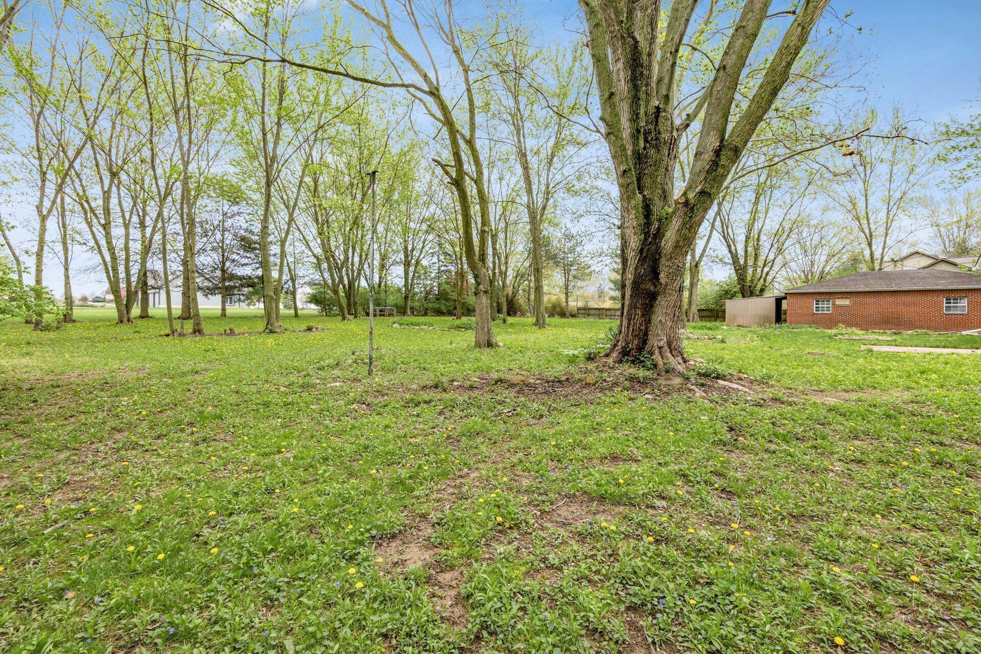 6517 South Section Line Road Delaware, OH 43015 - Photo 39 of 44 Yard