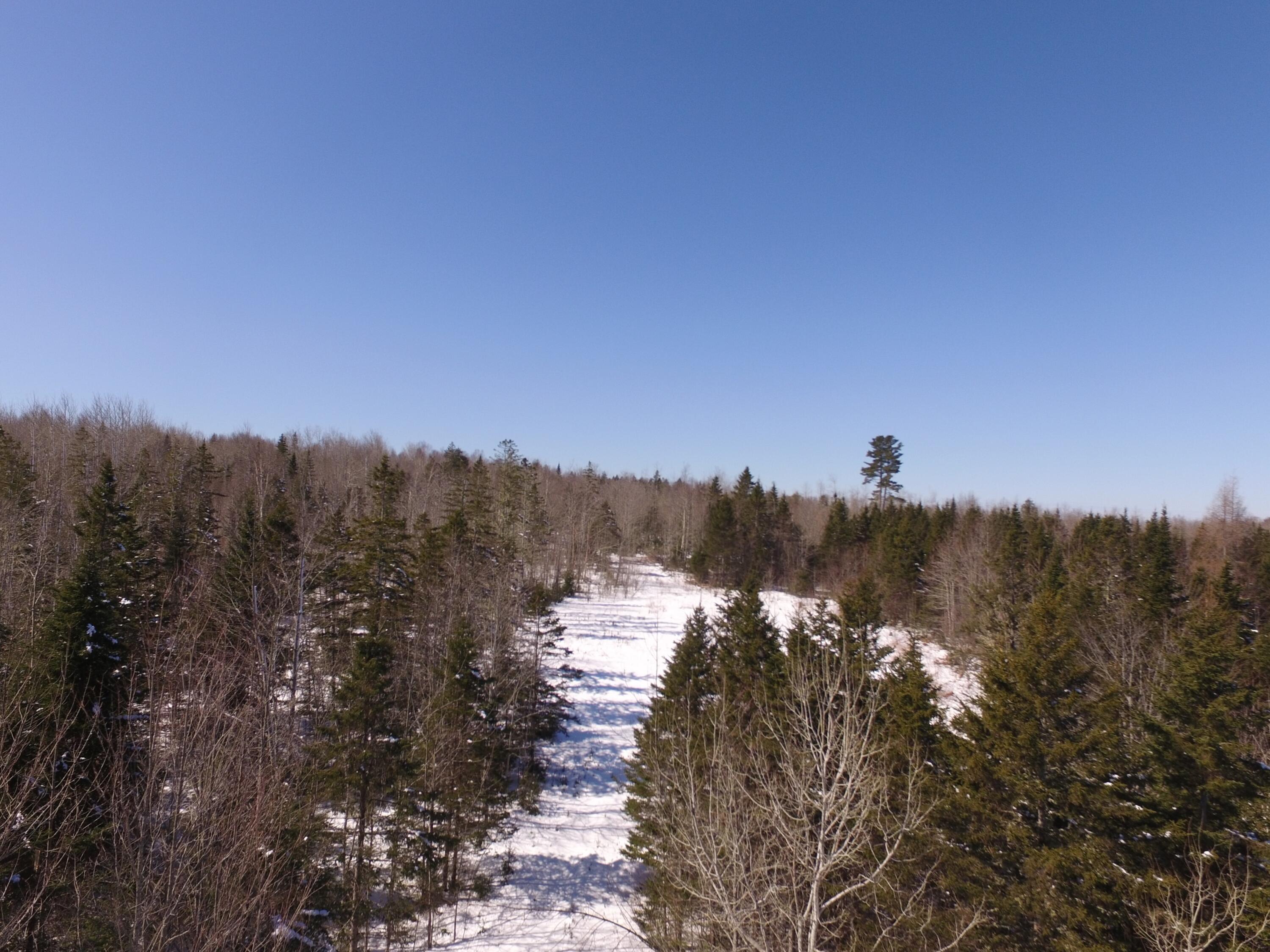 1040 Estabrook Road Amity, ME 04471 - Photo 14 of 17 DJI_0001