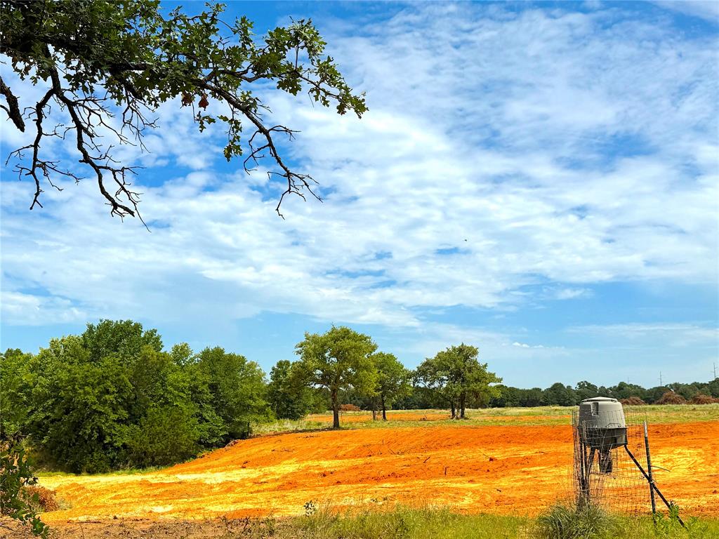 Tbd Turpin Lake Road Poolville, TX 76487 - Photo 24 of 26